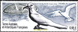 602576 MNH ANTARTIDA FRANCESA 2019  - Unused Stamps