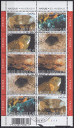 BELGIQUE 2003 Nº 3167/71 EN HB USADO 1º DIA - Used Stamps