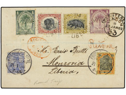 LIBERIA. 1902. MONROVIA To GERMANY And Return. This Registered Picture Post Card Originated At Monrovia Sometime In 1901 - Altri & Non Classificati