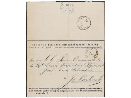 SERBIA. 1875 (20 Aug.). DANUBE STEAM NAVIGATION COMPANY. Official Printed Cover From The DDSG Offices In BELGRADE With E - Otros & Sin Clasificación