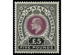 * NATAL. 1902-3. 5 £ Mauve And Black, Exceptionally Well Centered, Strong Fresh Colours. Original Gum Very Fine And Choi - Autres & Non Classés