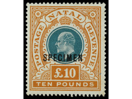 * NATAL. 1902-3. 10 £ Green And Orange, Overprinted 'SPECIMEN', Rich Colours. Original Gum, A Couple Of Minor Bends And  - Autres & Non Classés