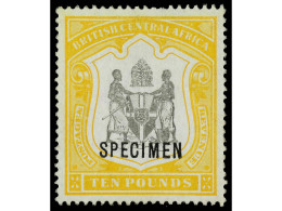 * NYASSALAND. 1897. BRITISH CENTRAL AFRICA. 10 £ Black And Yellow. Overprint SPECIMEN. Yv. 52SP Cat. 400€. SG.52s. - Altri & Non Classificati