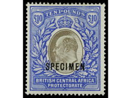 * NYASSALAND. 1903-4. BRITISH CENTRAL AFRICA. 10 £ Grey And Blue. Overprint SPECIMEN. Yv. 68SP Cat. 500€. SG.67s. - Autres & Non Classés