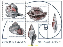 602615 MNH ANTARTIDA FRANCESA 2019 CONCHAS DE TIERRA ADÉLIE - Unused Stamps