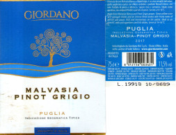 C 511 - Etichetta Vino Giordano Diano D'Alba - Vino Bianco