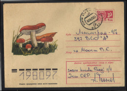 RUSSIA USSR Stationery USED ESTONIA AMBL 1358 KUNDA Mushrooms - Unclassified