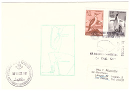 ARGENTINE  BASE ALMIRANTE BROWN  31 JANVIER 1971 - Other & Unclassified