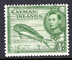 Cayman Islands 1938-48 KGVI Pictorials - ½d Dolphin Fish - P.13 X 11½ - HM (SG 116) - Cayman Islands