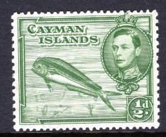 Cayman Islands 1938-48 KGVI Pictorials - ½d Dolphin Fish - P.13 X 11½ - HM (SG 116) - Cayman Islands