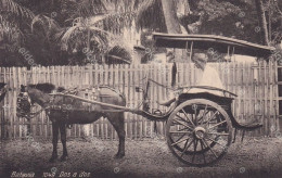 Batavia Indonesia Transportation Taxi Dos A Dos Horse Carriage.  Edit Tio Tek Hong Weltevreden - Taxis & Cabs