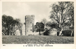 United Kingdom England Worcestershire Sanderson Millers Ruine Castle - Otros & Sin Clasificación