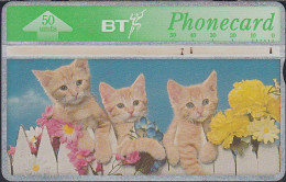 UK Btc 135 Spring In The Air - Katzen - Cats - Kitten - 50 Units - 563H - BT Allgemeine