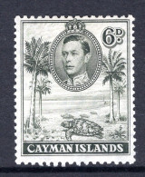 Cayman Islands 1938-48 KGVI Pictorials - 6d Hawksbill Turtles - P.11½ X 13 - Olive-green HM (SG 122) - Cayman Islands