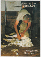 Australia NEW SOUTH WALES NSW Sheep Shearing Greetings From ORANGE Colour Tech RSP213K Postcard C1980s - Altri & Non Classificati