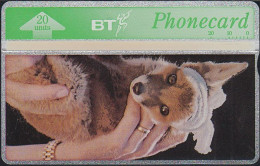 UK Btc 130 St Tiggywinkles (3) - Fox Cub - 20 Units - 411C - Mint - BT Emissions Générales