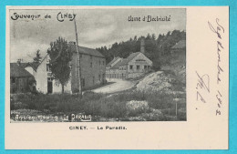 * Ciney (Namur - La Wallonie) * (Imprimerie Louis Judon) Usine D'electricité, Ancien Moulin Le Paradis, TOP, Rare Unique - Ciney