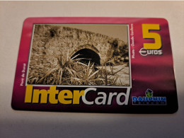 ST MARTIN / INTERCARD  5 EURO  PONT DE DURAT          NO 093   Fine Used Card    ** 16102 ** - Antilles (French)