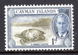 Cayman Islands 1950 KGVI Pictorials - 1d Green Turtle HM (SG 137) - Cayman Islands