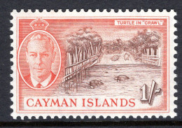 Cayman Islands 1950 KGVI Pictorials - 1/- Turtles In Crawl MNH (SG 144) - Cayman Islands