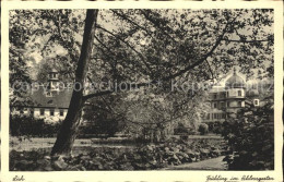 41955101 Lich Hessen Fruehling Im Schlossgarten Lich - Lich