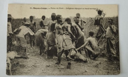 Französisch -Kongo, Niari Ebene, Indigene Beim Zerlegen Eines Wilden Ochsen, Moyen-Congo, 1920 - French Congo