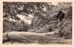 Plauen - Adolf Hitler Park Musikhalle Am Hindenburgring Gel.1942 Feldpost Dienstsiegel - Plauen