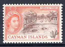 Cayman Islands 1953-62 QEII Pictorials - 1/- Turtles In Crawl MNH (SG 158) - Cayman Islands