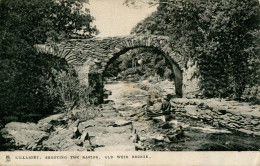 IRELAND - KILLARNEY - SHOOTING THE RAPIDS, OLD WEIR BRIDGE    I582 - Kerry