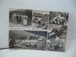 DER APPENZELLER ALLTAG SUISSE CPSM 28772 ECHTER FOTODRUCK - Appenzell