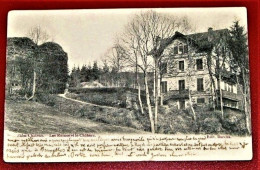 SALMCHÂTEAU - SALM-CHÂTEAU   -  Les Ruines Et Le Château  -  1903    - - Vielsalm