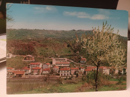Cartolina  Monzone Fa Parte Del Comune Di Fivizzano, Provincia Di Massa-Carrara,panorama Con Sfondo Monte Dei Bianchi - Massa