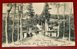 EREZEE  -     Avenue Du Pont  -  1905     - - Erezée