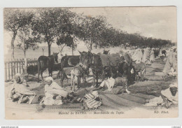 Algérie Le Marché De BATNA N°21 Les Marchands De Tapis En 1916 Anes Ou Mulets Et Chevaux - Batna