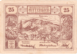 Autriche, Mitterbach, 25 Heller, Montagne, 1920, 1920-12-31, SUP, Mehl:FS 618b - Oesterreich