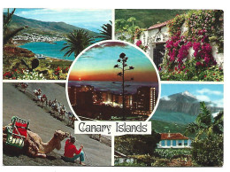 ISLAS CANARIAS / CANARY ISLANDS.- ( ESPAÑA ). - Sonstige & Ohne Zuordnung