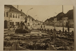 Cisnãdie, Dt.Heltau, Strassenansicht, Bus, Rumänien, 1959 - Romania