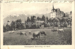 12358718 Menzingen Zug Erholungsheim Schwandegg Mit Saentis Appenzeller Alpen Ku - Autres & Non Classés