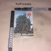 HB10902 GENOVA 1986 TIMBRO ANNULLO EUROPA 1986 GIORNO DI EMISSIONE - Cartas & Documentos