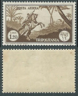 1931-32 TRIPOLITANIA POSTA AEREA SOGGETTI AFRICANI 1,20 LIRE MH * - RA29-3 - Tripolitania