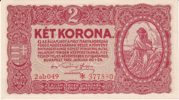 BILLETE DE HUNGRIA DE 2 KORONA DEL AÑO 1920 SIN CIRCULAR (UNC) (BANKNOTE) - Ungheria