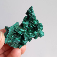 #XX09 - Schöne MALACHIT Radialstrahlige  Kristalle (Tsumeb Mine, Namibia) - Minerales