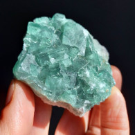 #XX26 - Schöne Grüne FLUORIT Kristalle (Malaimbandy, Miandrivazo, Madagaskar) - Minerales