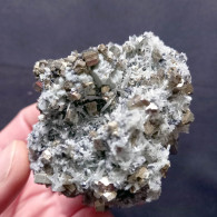 #J49 - Bello PIRITE E QUARZO Cristalli (Dalnegorsk, Siberia, Russia) - Minerals