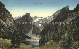 12322678 Seealpsee  Seealpsee - Autres & Non Classés