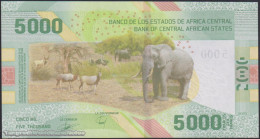 DWN - CENTRAL AFRICAN STATES 703 - 5000 5.000 Francs 2020 (2022) UNC - Various Prefixes - Zentralafrikanische Staaten