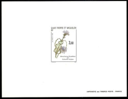 ST. PIERRE & MIQUELON(1993) White-spotted Sawyer (Monomachus Scutellatus). Chicory (Cichorium Intybus). Deluxe Sheet. Sc - Imperforates, Proofs & Errors