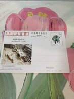 China Stamp Card 1995 The Ruins Of Liulihe History - Cartas & Documentos