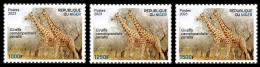 NIGER 2023 - SET 3V - GIRAFE GIRAFES GIRAFFE GIRAFFES - MNH - Giraffen