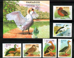 Somalia 1998 Birds, Water Birds, Wild Ducks, Wart Nosed Swans,6v+MS MNH - Somalie (1960-...)